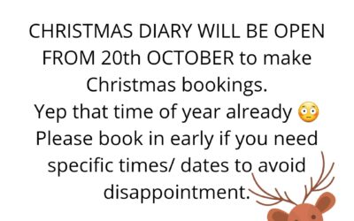 Christmas Diary